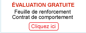 Version gratuite et int�grale d'un formulaire attach� � ce volet. 